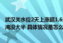 武汉关水位2天上涨超1.6米汉口江滩“一家五口”雕塑已被淹没大半 具体情况是怎么样的?