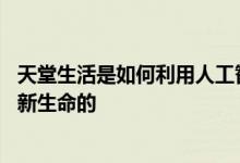 天堂生活是如何利用人工智能 机器学习来从长尾数据中创造新生命的