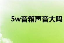 5w音箱声音大吗（音箱没声音怎么办）