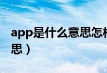 app是什么意思怎样下载app（app是什么意思）