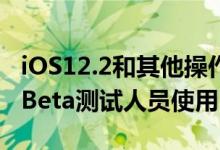 iOS12.2和其他操作系统更新现在也可供公共Beta测试人员使用