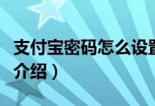 支付宝密码怎么设置（支付宝密码的设置方法介绍）