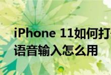 iPhone 11如何打开语音输入功能 苹果手机语音输入怎么用