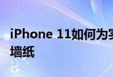 iPhone 11如何为实况照片添加效果并设置为墙纸