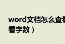 word文档怎么查看字数（word文档如何查看字数）