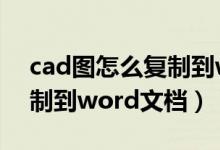 cad图怎么复制到word文档（cad图如何复制到word文档）