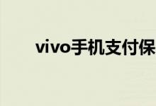 vivo手机支付保险箱的功能怎么开启