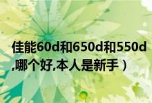 佳能60d和650d和550d（佳能单反相机60d和650d的区别,哪个好,本人是新手）