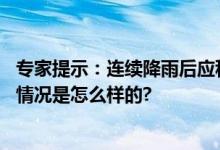 专家提示：连续降雨后应科学清洁环境预防常见传染病 具体情况是怎么样的?