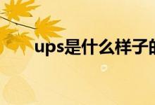 ups是什么样子的（ups是什么东西）