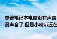 惠普笔记本电脑没有声音了怎么办（惠普笔记本电脑为什么没声音了,但是小喇叭还在,插上耳机和音响也有声音）