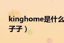 kinghome是什么牌（kinghome是什么牌子子）