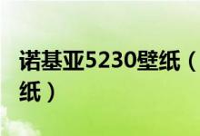 诺基亚5230壁纸（诺基亚5230适合的桌面壁纸）