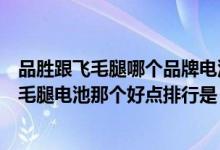 品胜跟飞毛腿哪个品牌电池好点（品胜、摩米士、德基、飞毛腿电池那个好点排行是）