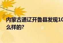 内蒙古通辽开鲁县发现1000多年前的陪葬车 具体情况是怎么样的?