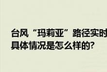 台风“玛莉亚”路径实时发布系统 登陆时间地点最新位置 具体情况是怎么样的?