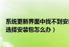 系统更新界面中找不到安装包（系统更新页面中找不到手动选择安装包怎么办）