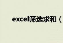 excel筛选求和（excel怎么筛选求和）