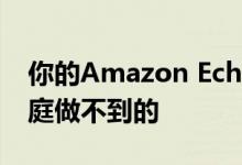 你的Amazon Echo可以做的7件事是谷歌家庭做不到的