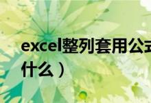 excel整列套用公式（excel整列套用公式是什么）