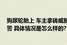 狗尿轮胎上 车主拿砖威胁狗主人擦掉 居委会：狗主人已报警 具体情况是怎么样的?