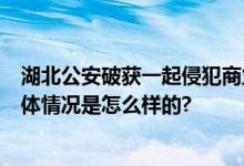 湖北公安破获一起侵犯商业秘密案 涉案金额超3000万元 具体情况是怎么样的?