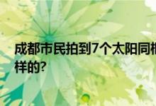 成都市民拍到7个太阳同框 网友：7星连珠 具体情况是怎么样的?