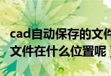 cad自动保存的文件在哪里（CAD自动保存的文件在什么位置呢）