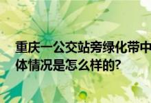 重庆一公交站旁绿化带中发现男尸 警方：初步排除刑案 具体情况是怎么样的?