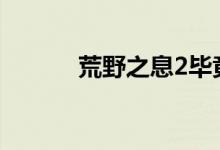 荒野之息2毕竟不会在今年发布