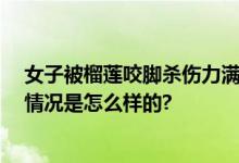 女子被榴莲咬脚杀伤力满级 网友：这是“报仇”榴莲 具体情况是怎么样的?