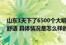 山东1天下了6500个大明湖 多地“一夜入秋” 网友：体感舒适 具体情况是怎么样的?