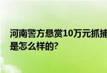 河南警方悬赏10万元抓捕赵子龙 嫌疑人资料照片 具体情况是怎么样的?