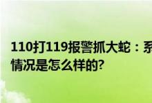 110打119报警抓大蛇：系长约2米眼镜王蛇 咬死4只鸡 具体情况是怎么样的?