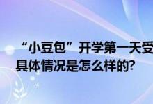 “小豆包”开学第一天受访可爱大方 网友：有老干部范儿 具体情况是怎么样的?