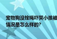 宠物狗没拴绳吓哭小孩被爷爷摔死 官方最新情况通报 具体情况是怎么样的?