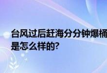 台风过后赶海分分钟爆桶 专家提醒：尽量不要吃 具体情况是怎么样的?