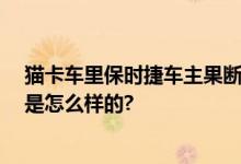 猫卡车里保时捷车主果断拆车救猫 小猫已被救出 具体情况是怎么样的?