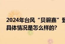 2024年台风“贝碧嘉”登陆哪里？登陆时间地点最新更新 具体情况是怎么样的?