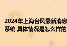 2024年上海台风最新消息路径图：台风“贝碧嘉”路径实时系统 具体情况是怎么样的?