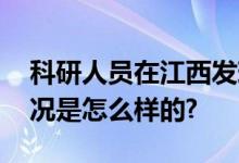 科研人员在江西发现一种蜘蛛新物种 具体情况是怎么样的?