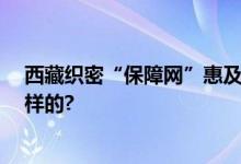 西藏织密“保障网”惠及近12万名残疾人 具体情况是怎么样的?