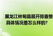 黑龙江林甸县展开排查整改行动 防止农业设施“建而不用” 具体情况是怎么样的?