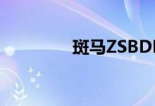 斑马ZSBDP14打印机评测