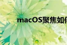 macOS聚焦如何充分利用搜索结果