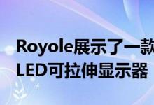 Royole展示了一款具有3D自由造型的microLED可拉伸显示器