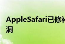 AppleSafari已修补以修复潜在危险的零日漏洞