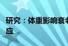 研究：体重影响衰老小鼠肌肉骨骼对跑步的适应