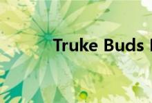 Truke Buds F1以899美元推出