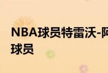 NBA球员特雷沃-阿里扎球员信息以及同位置球员